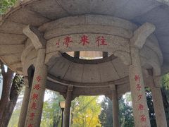-玲珑塔公园