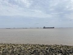-上海滨江森林公园