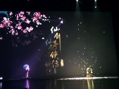 -合肥大剧院