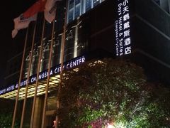 -长沙小天鹅戴斯酒店