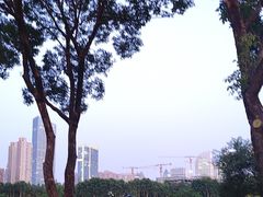-后襄河公园