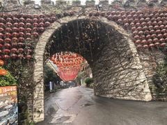 -巴倒烫陆派火锅山庄(南山总店)