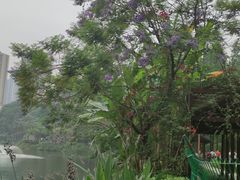 -重庆彩云湖湿地公园