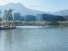 -大梅沙海滨公园