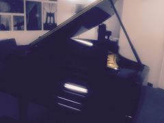 -梅纳·钢琴声乐架子鼓Mena Music(双井店)