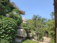 -仁爱团泊湖温泉中心