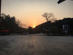 -九龙江国家森林公园