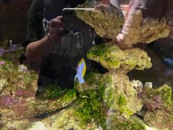 -Zoolung Zoolung动物主题公园(海信广场店)