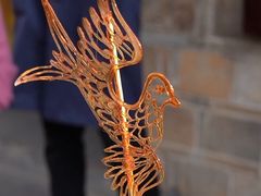 -长沙黑麋峰国家森林公园