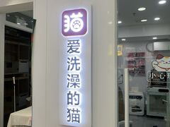 -爱洗澡的猫(望京店)