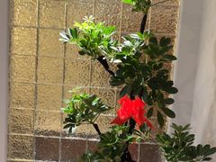 -沐森 •疗愈头疗馆(打浦桥店)
