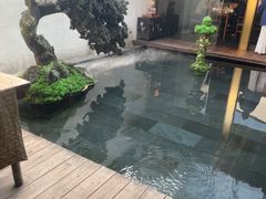 -觀芷隐轩