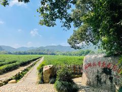 -中国茶叶博物馆(双峰馆区)