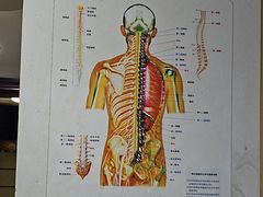 -张钰强中医正骨推拿连锁(华发商都店)
