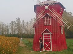 -北京东方普罗旺斯薰衣草庄园