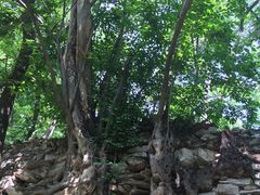 -北京上方山国家森林公园