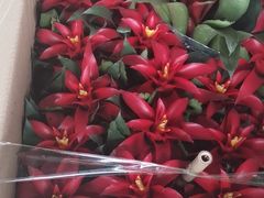 -灸春堂·专业艾灸·连锁品牌(丰潭路店)