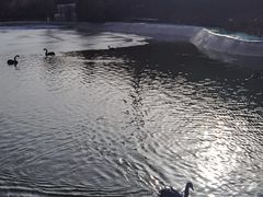 -静之湖度假区