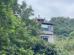 -老张烤羊(王哥庄店)