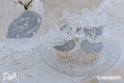 -DNA Wedding 婚礼记(上海店)