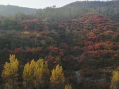 -青龙山生态文化旅游区(慈云寺)