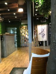 -V-STAR威斯达•高级私人定制