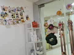 -Husky Go! 哈士奇体验馆·宠物咖啡厅狗咖