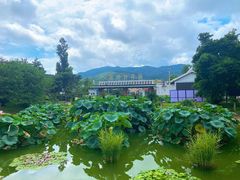 -国家植物园南园