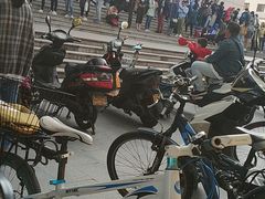 -苏州图书馆(人民路总馆)
