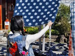 -璞真扎染博物馆