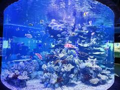 -左海海底世界