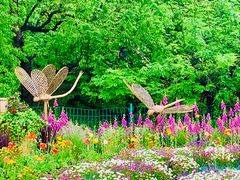 -上海共青森林公园