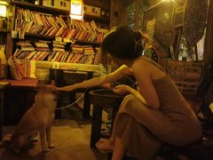 -城墙外BAR