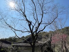 -杭州半山国家森林公园