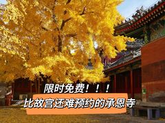 -承恩寺