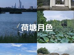 -海珠湖公园