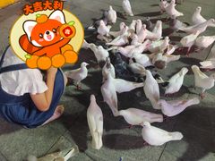 -万达广场(广州番禺店)