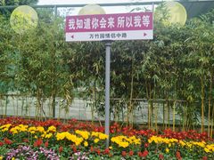 -揭东万竹园旅游景区