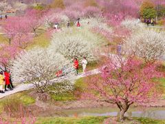 -花开海上生态园