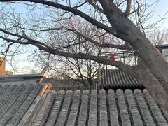 -糖房咖啡(南锣鼓巷店)