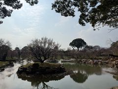 -无锡梅园公园