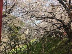 -名古屋城