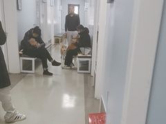 -中国农业大学动物医院