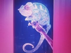 -纯K(打浦桥店)