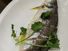 -长平肥姐白粥·海鲜打冷