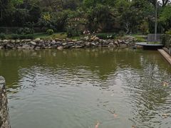 -石排湾郊野公园