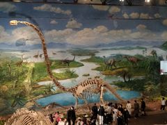 -自贡恐龙博物馆