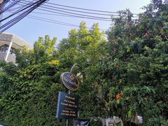 门面-Fern Forest Cafe