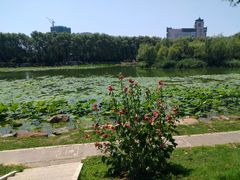 -吉林大学(前卫南区)