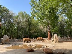 -北京野生动物园